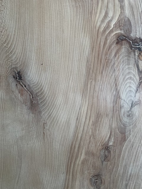 ELENA - Afbeelding 6