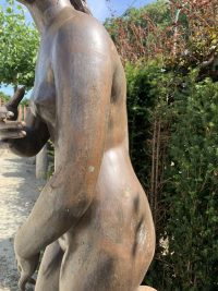 19e eeuws bronzen tuinbeeld venus - Afbeelding 5