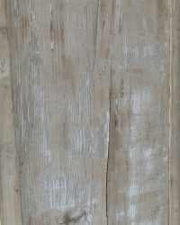 Library open cupboard Italy 18th century - Afbeelding 6