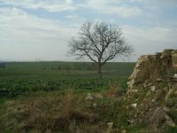 Verkocht. - Afbeelding 5