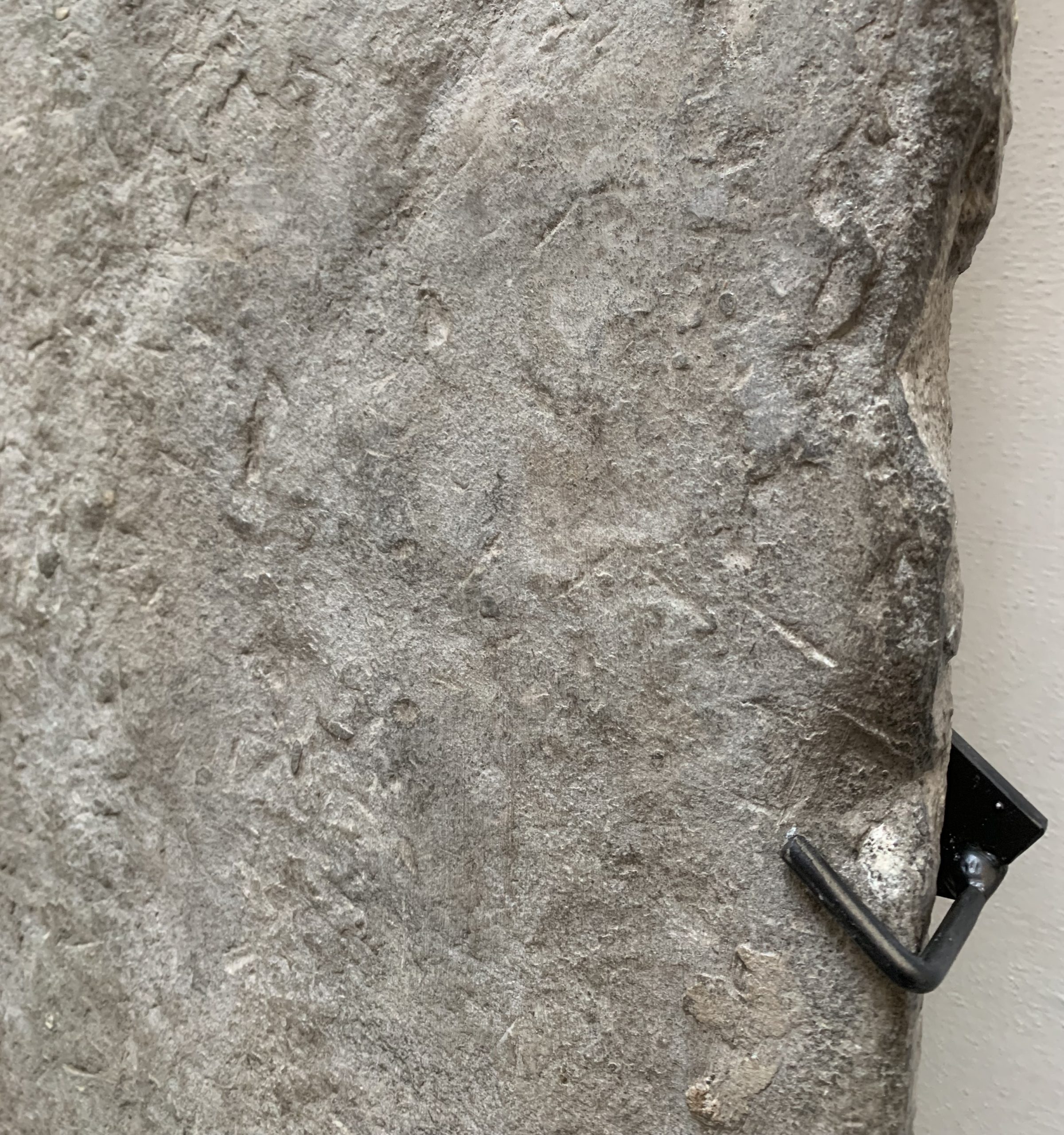 15e-eeuwse monumentale monolithische stenen plaat met fossielen - Afbeelding 7